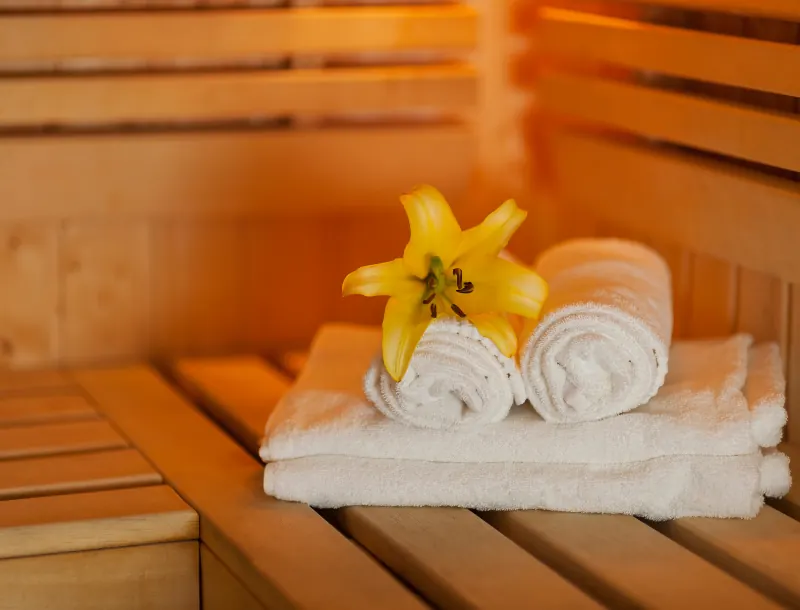 suite privative offre premium- Élégance Spa Suite-suite privative-espace bien-être-spa privatif-sauna finlandais-jacuzzi-balnéo-espace détente-réservation évènements-anniversaire-fête-groupe-amoureux-famille-suite de luxe-Thiers-Puy-de-Dôme